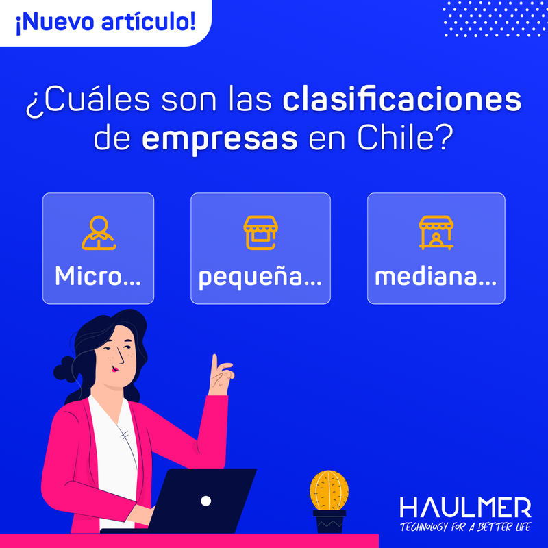 Empresas de menor tamaño en Chile y clasificación de empresas